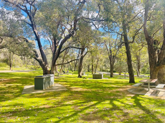 A photo of the picnic area at Serpentine National Park. It’s an open space of green grass, trees, picnic tables and barbecues.