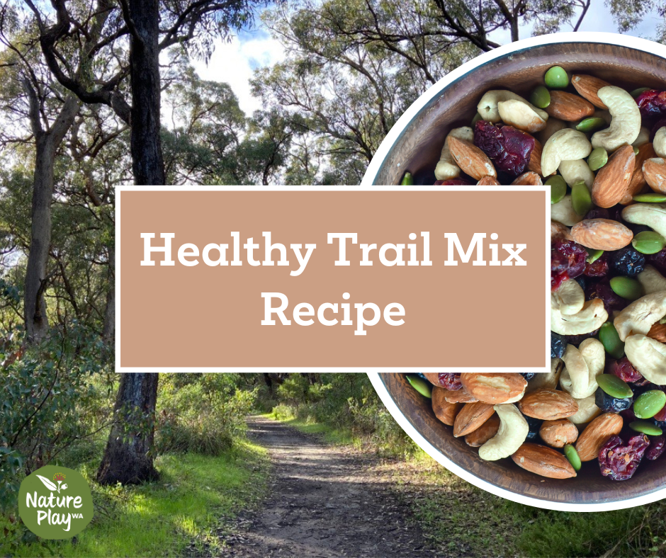 Healthy Trail Mix Recipe - Nature Play WA