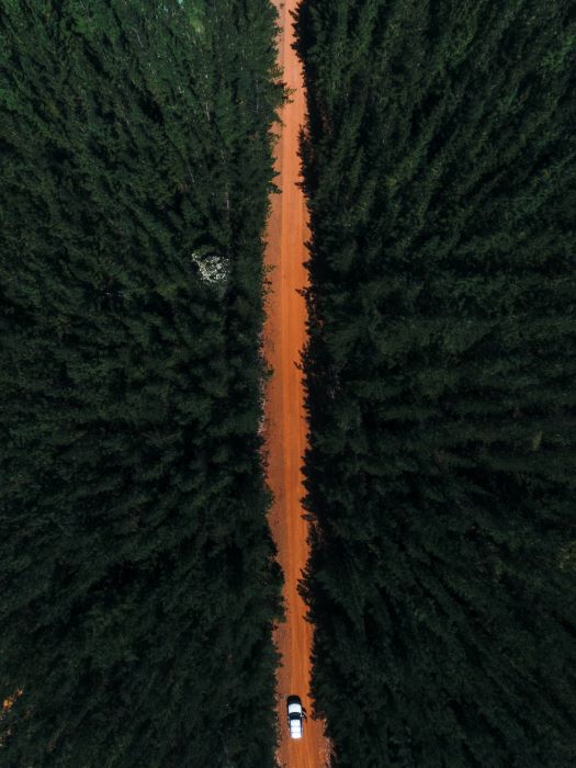 A photo taken from above by a drone, of a dirt road at Lane Poole Reserve. The orange dirt road is lined by thick, green pine forest on each side. A car is driving along the road.