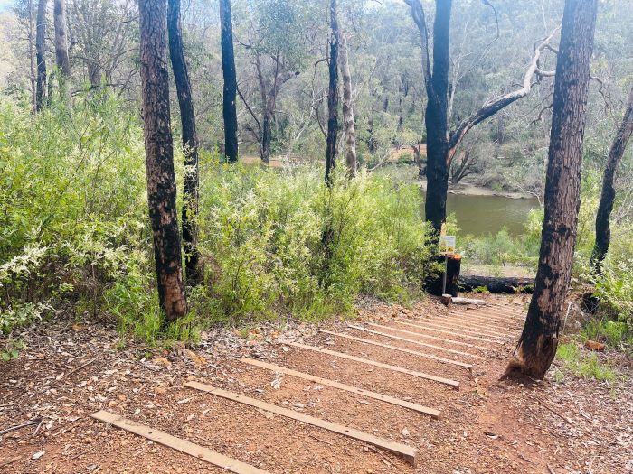 A photo of stairs shaped from the natural ground (red dirt/gravel) leading down to the river access and Island Pool. Tall trees and green bushland and shrubs line each side of the stairs. The river can be seen flowing past at the bottom.