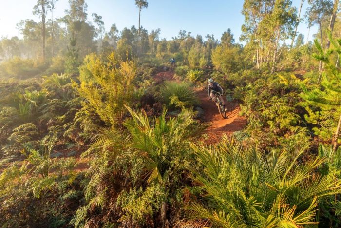 A photo of two people riding on a mountain bike trail. The trail winds through low-growing green scrub and bushland.