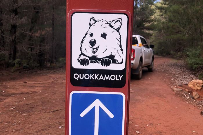 A photo of a sign for the Quokkamoly mountain bike trail. The sign features an image of a quokka, text that reads “Quokkamoly”, and an arrow pointing towards the trail. The red dirt trail, trees and bushland can be seen in the background.