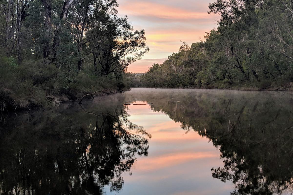 A photo of the Murray River. The river is flat and glassy, reflecting the pastel blue and pink sky above. Trees and bush line each side of the river.