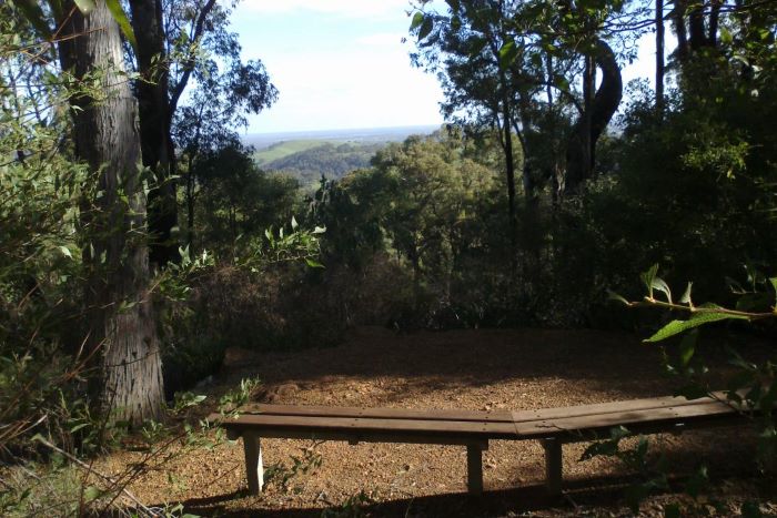 A photo of the view from Scarp Lookout. A wooden bench provides seating for visitors. Through a gap in the tall trees and bushland, the landscape below can be seen, which appears to be grassy green fields and rolling hills.