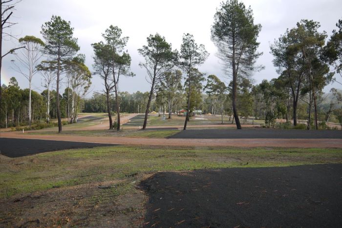 A photo of Shannon Campground. It’s an expansive, open area with a few tall trees dotted around. Bitumen campsites are spread out throughout the area.