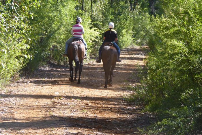 A photo of two people riding horses on a dirt trail, surrounded by green bushland. 