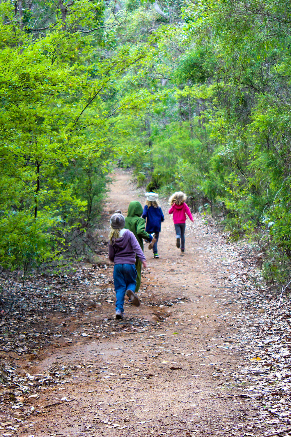 Nature Play WA getting kids outside into nature