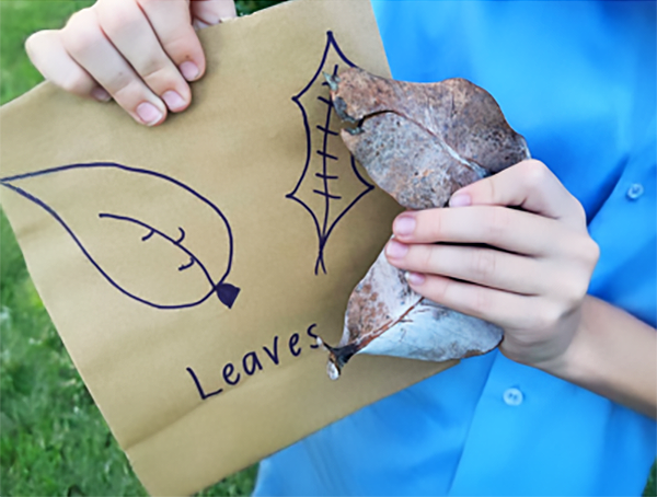 Paper bag nature hunt