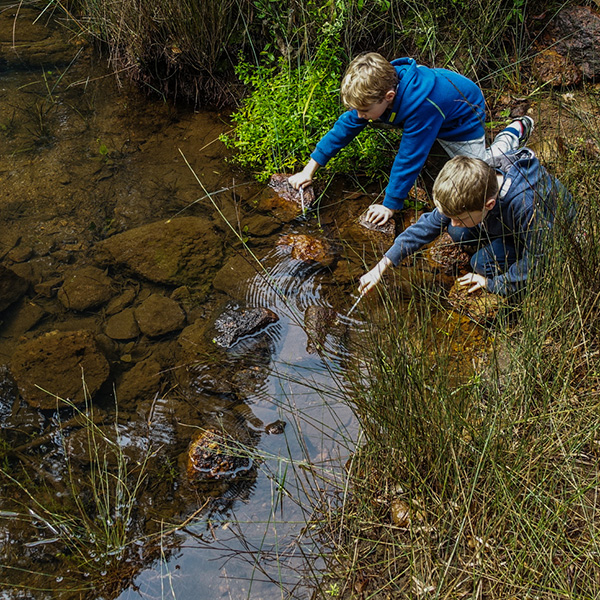 Kids playing in creek
