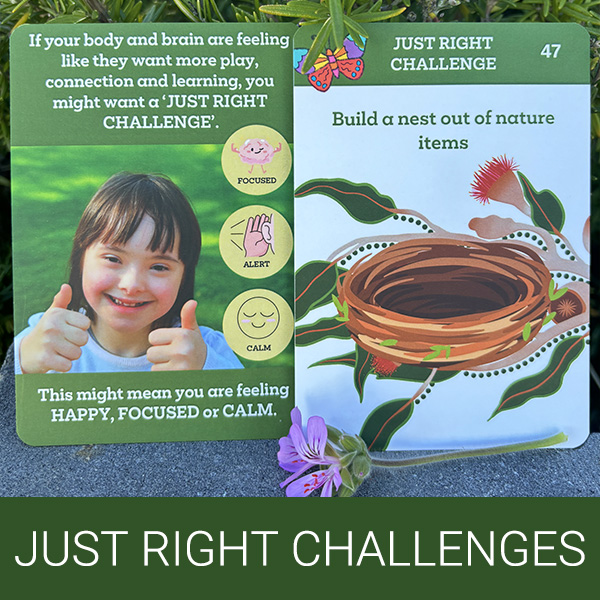 Nature & Me Just Right Challenge Cards sq