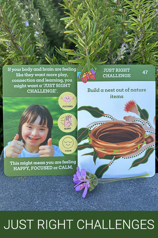 Nature & Me Just Right Challenge Cards