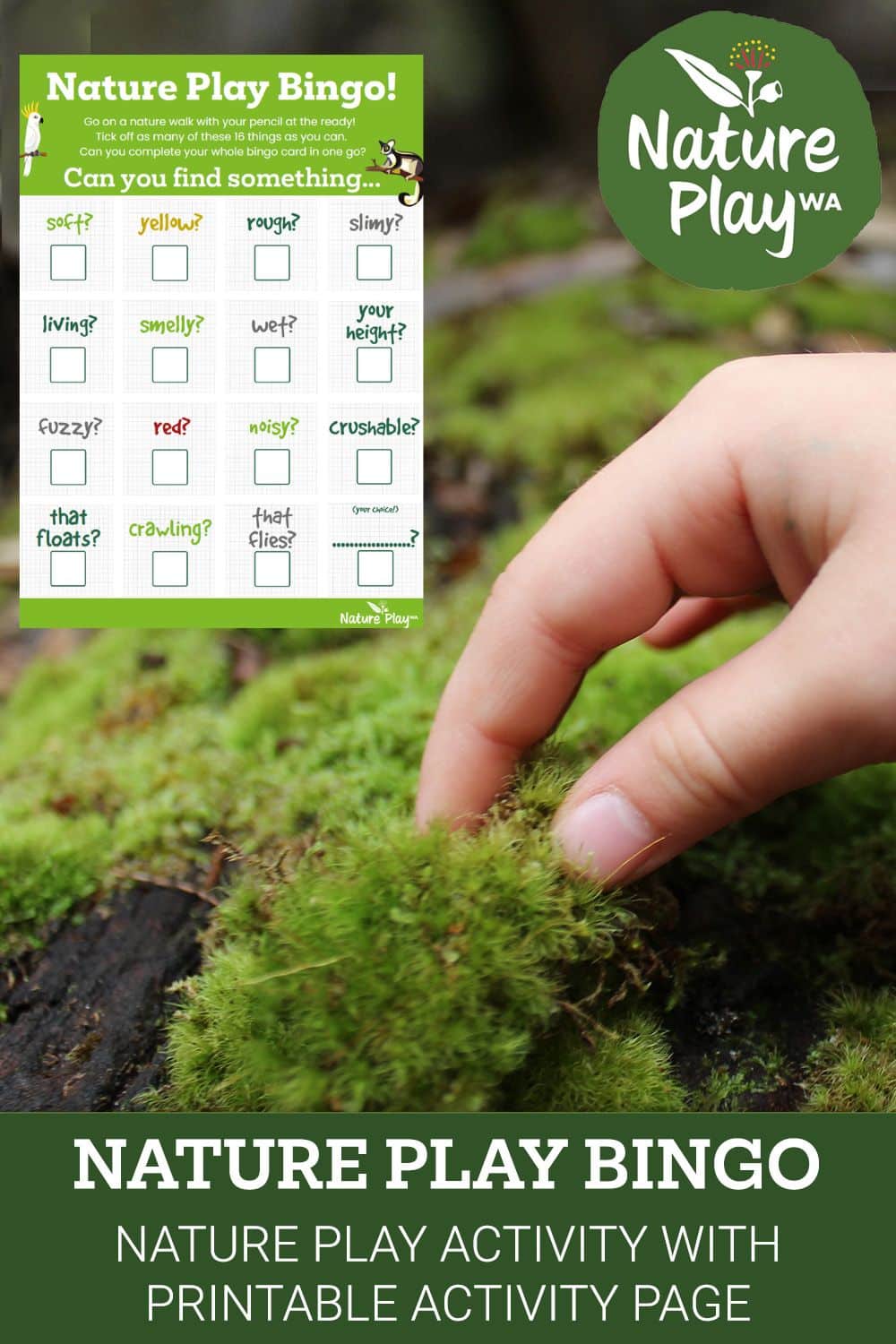 Nature Play Bingo Nature Play Activity