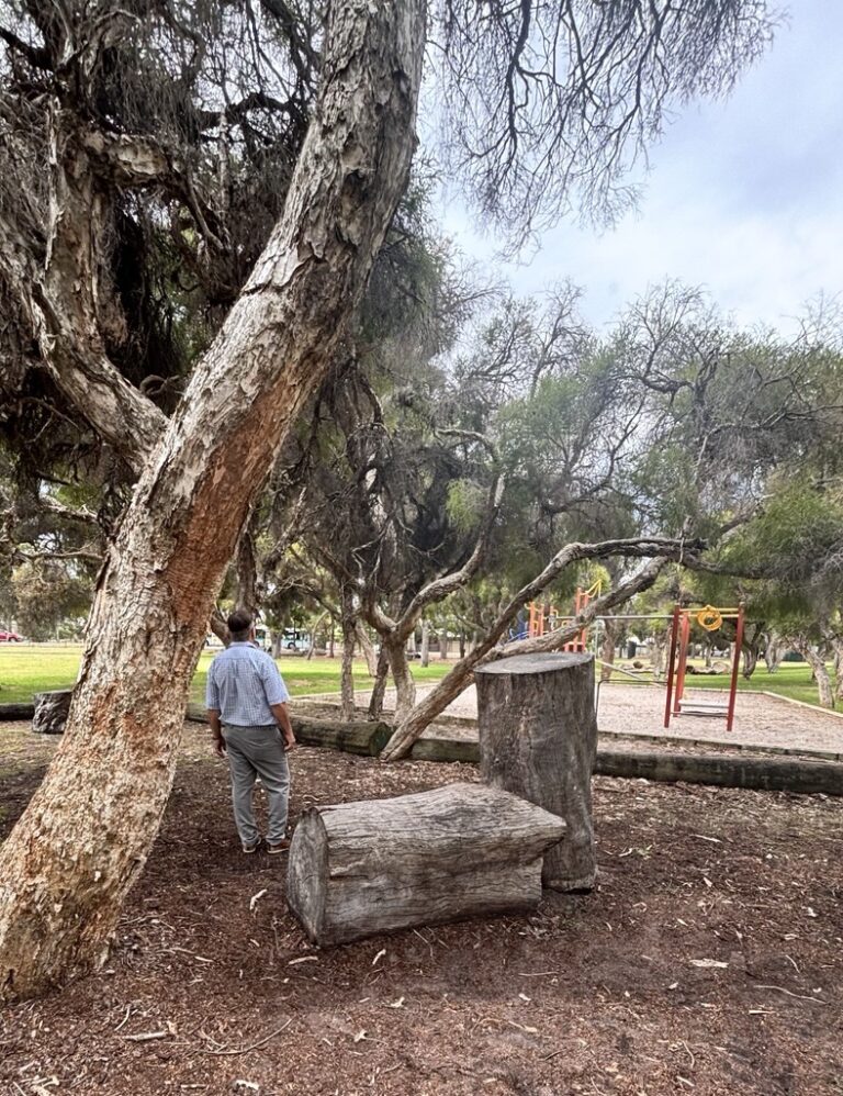 A teacher observes a traditional-looking school playground surrounded by trees and logs.