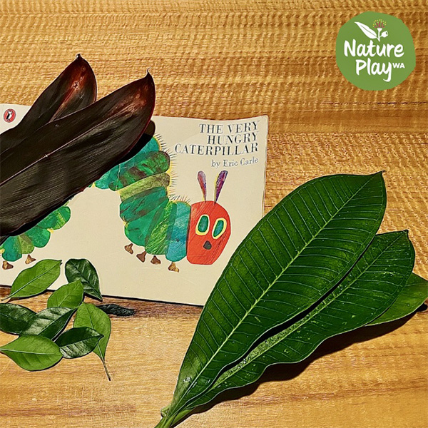 The Very Hungry Caterpillar book activity supplies