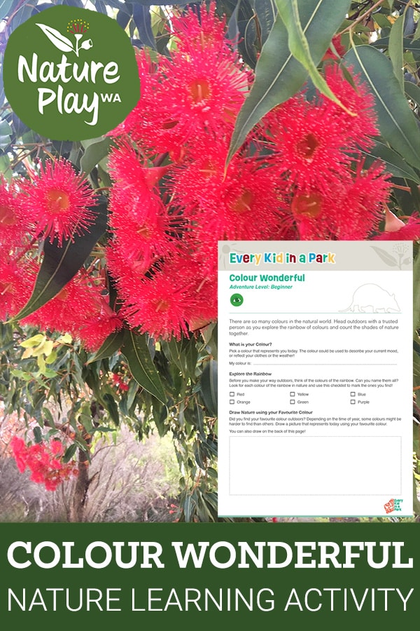 Colour wonderful nature activity for kids