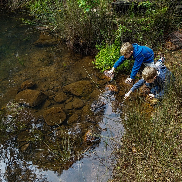 Benefits of Nature Play for kids