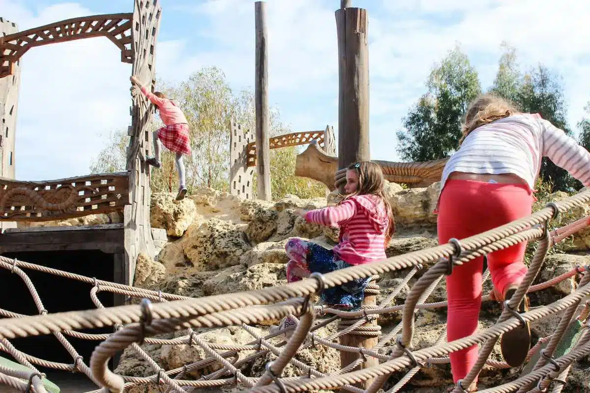 Variety Place Park climbing equipment