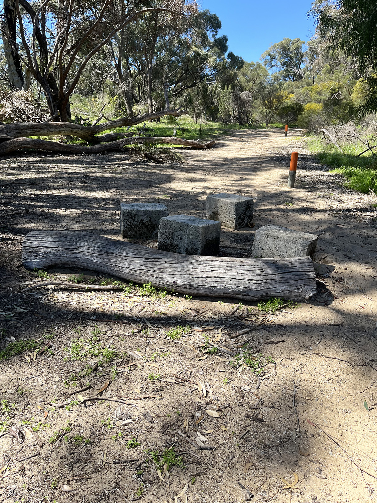 Baldivis Childrens Forest logs and path