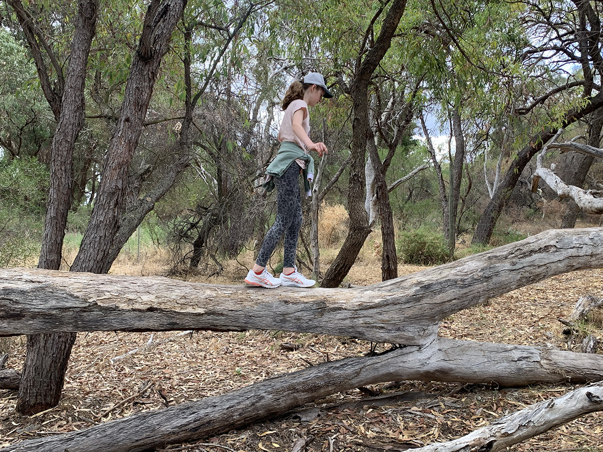 Baldivis Childrens Forest logs