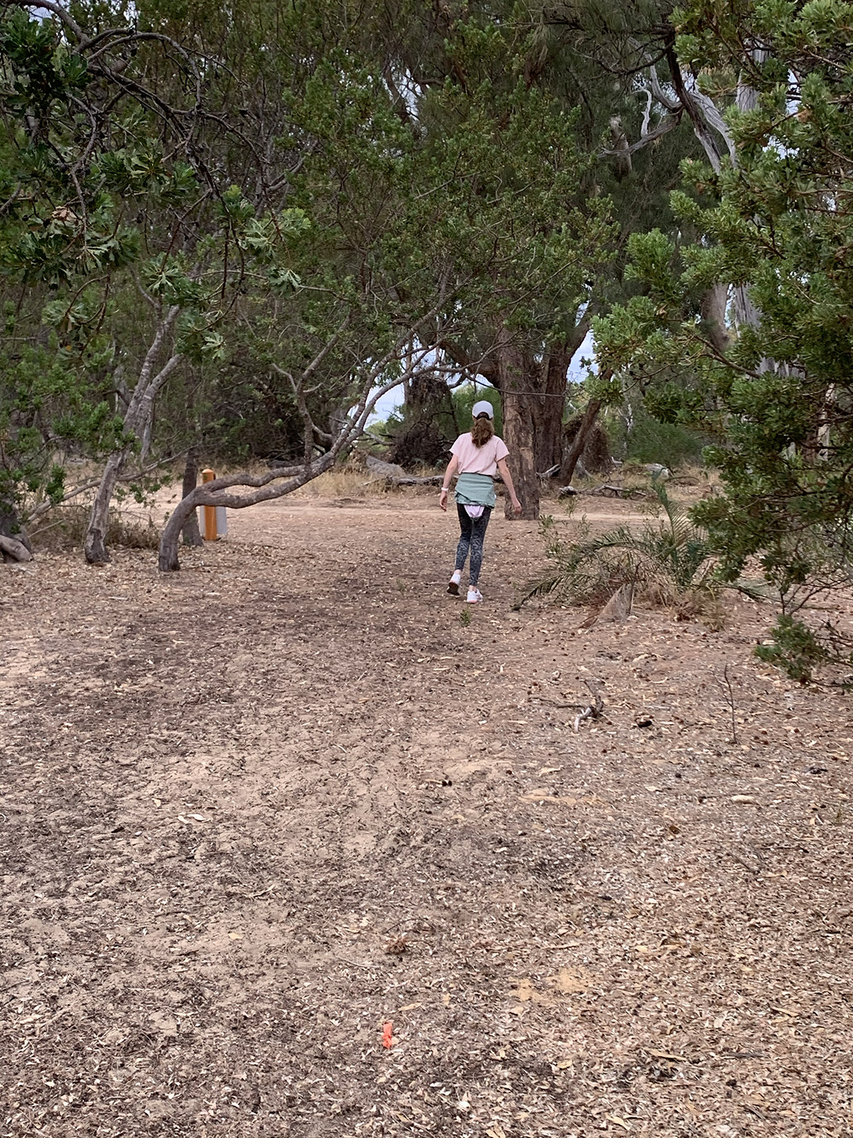 Baldivis Childrens Forest trails
