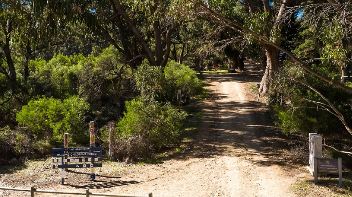 Baldivis Childrens Forest walk to forest