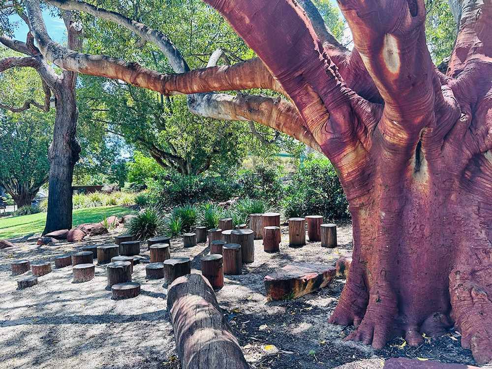 Braithwaite Park balancing play