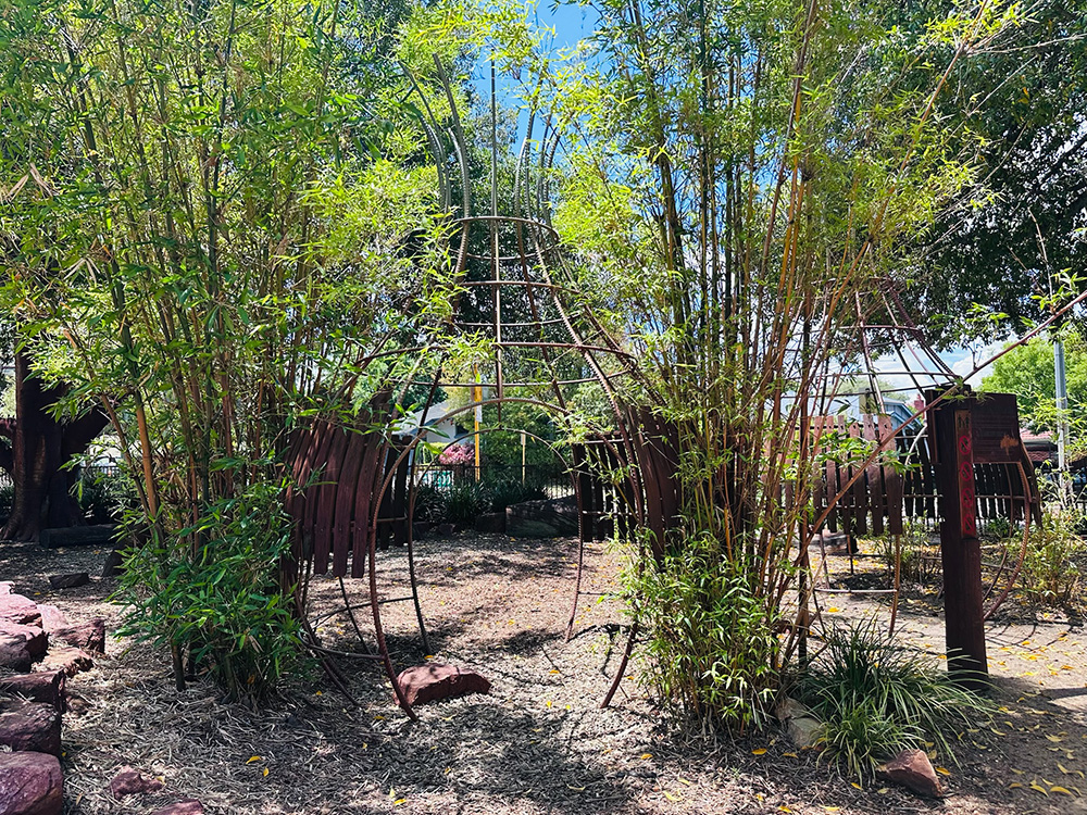 Braithwaite Park playground vegetation
