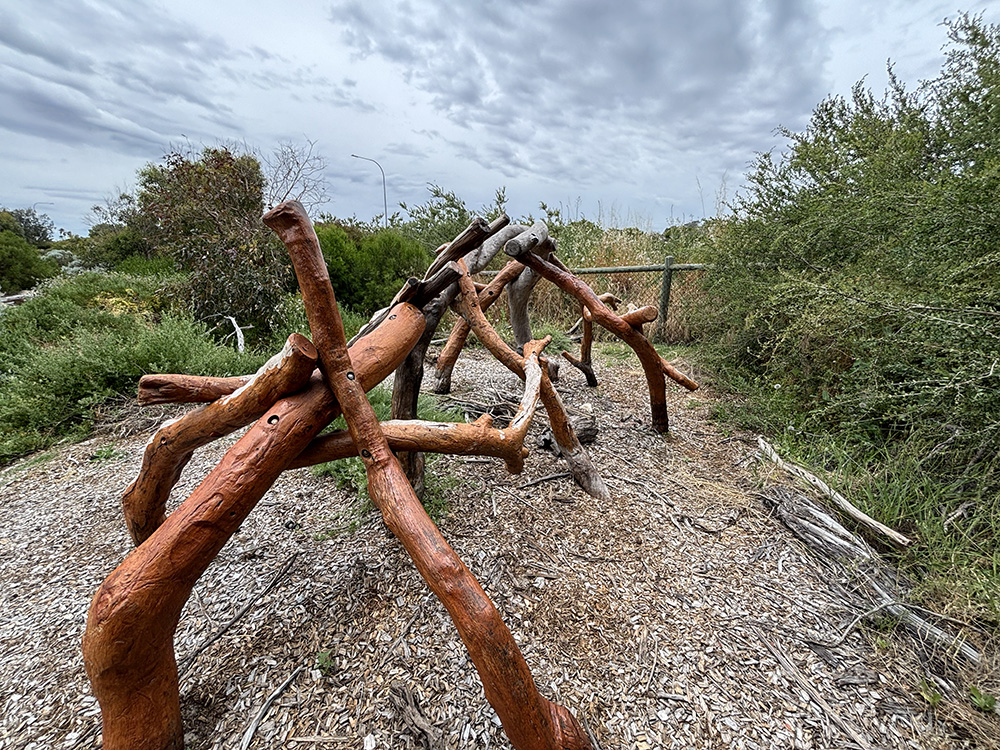 Cottesloe Nature Discovery Play Space climbing