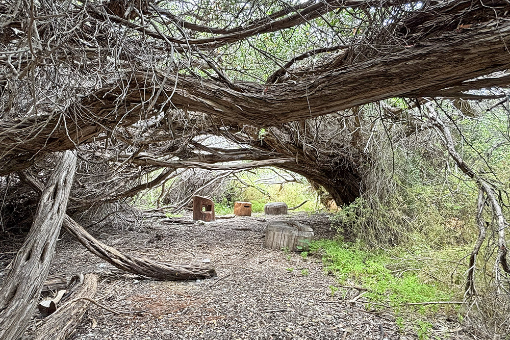 Cottesloe Nature Discovery Play Space cubby nook