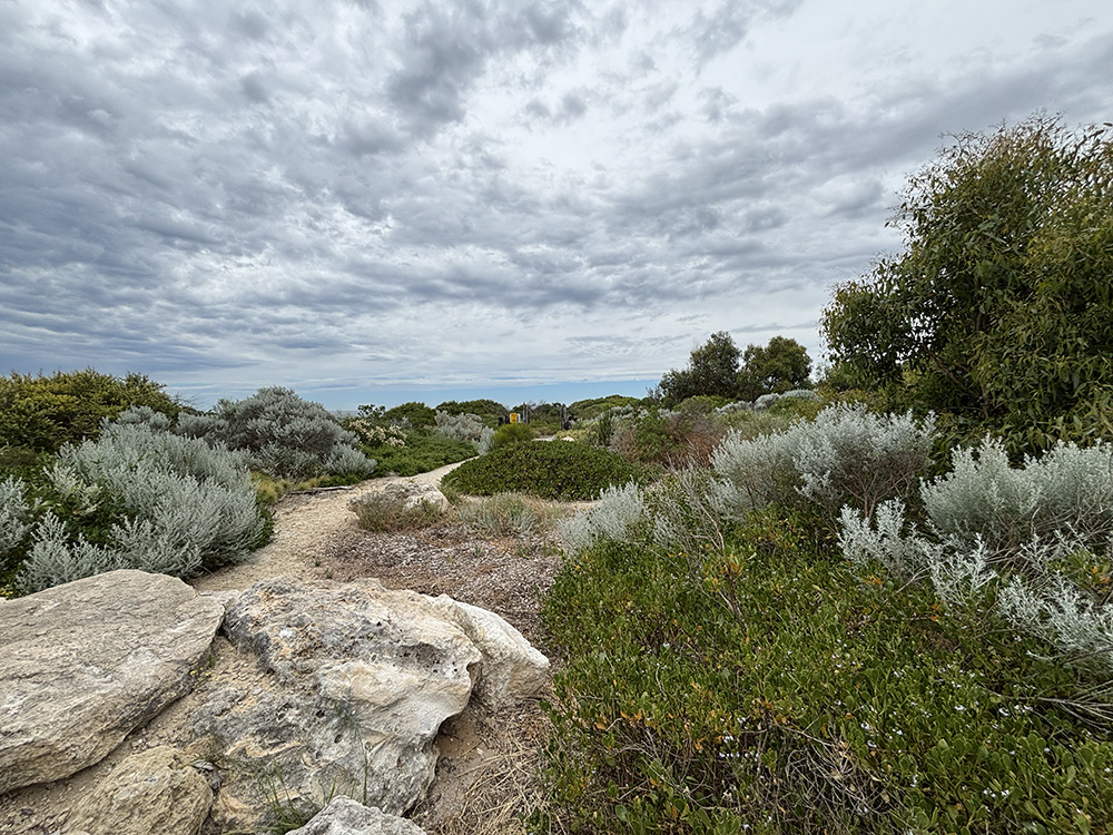 Cottesloe Nature Discovery Play Space limestone paths
