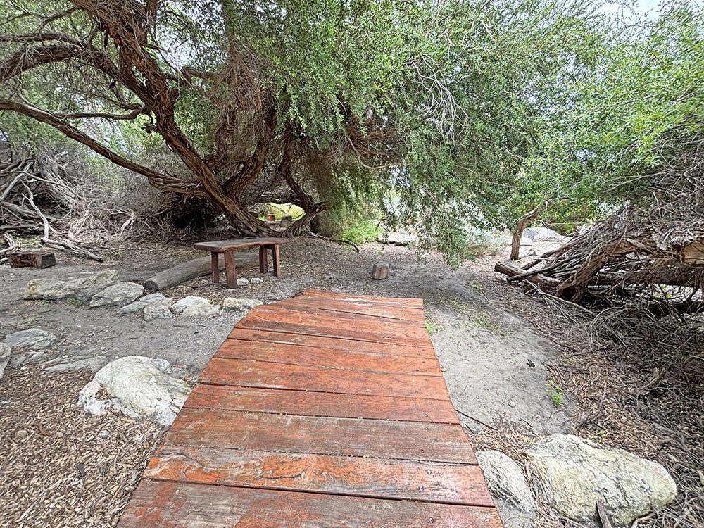 Cottesloe Nature Discovery Play Space
