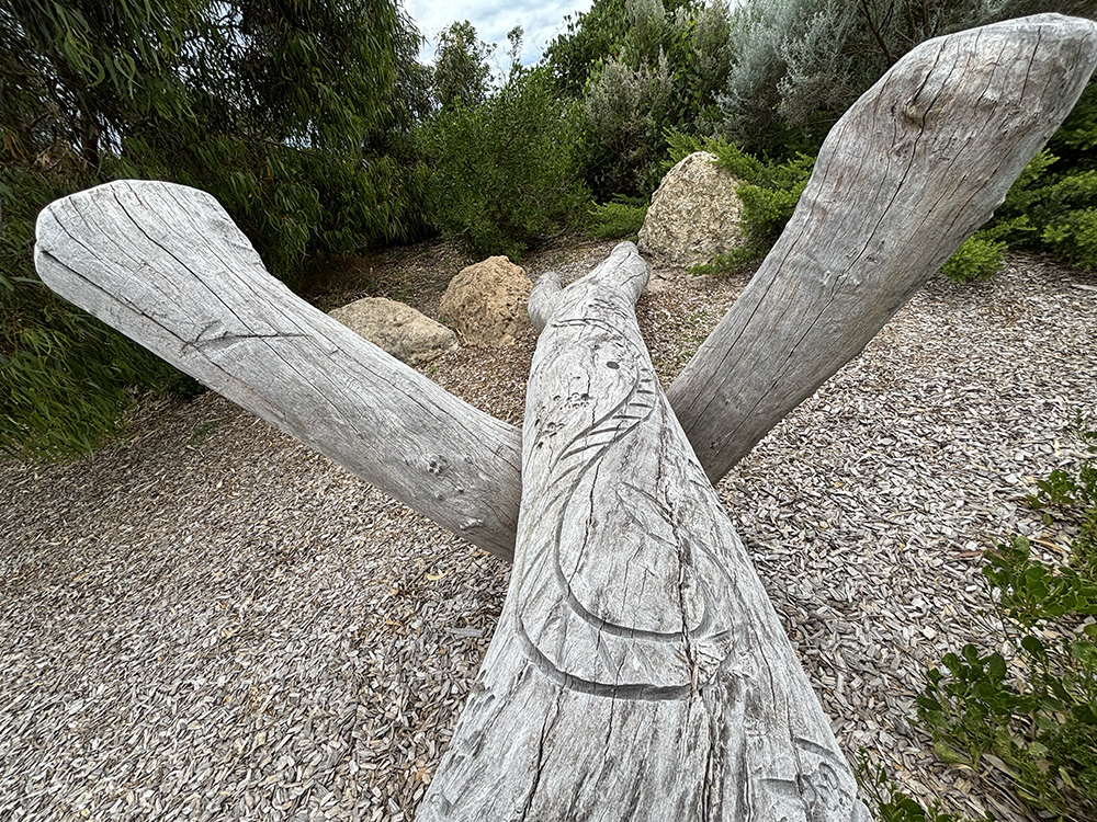 Cottesloe Nature Discovery Space carved logs