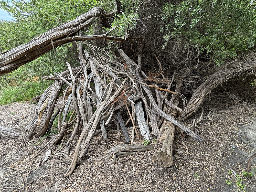 Cottesloe Nature Discovery cubby