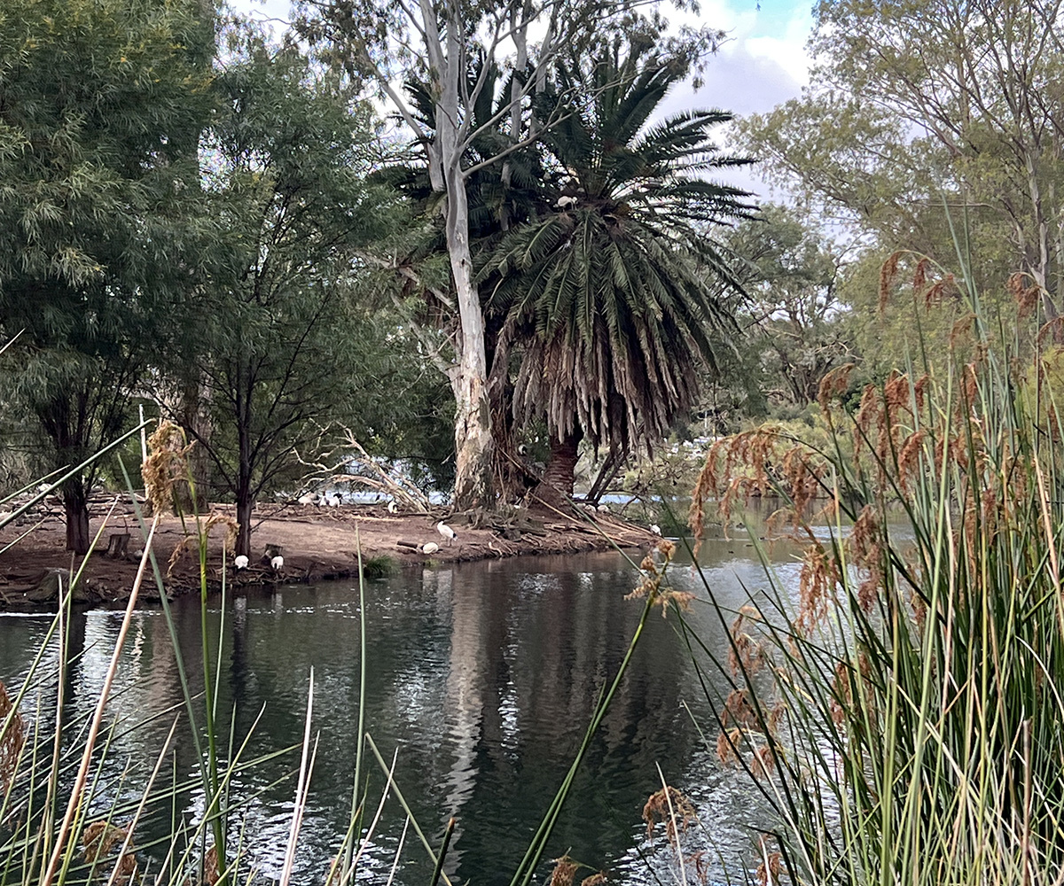 GO Edwards Park lake island