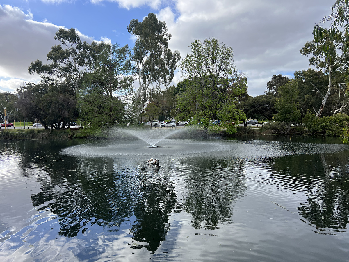 GO Edwards Park lake