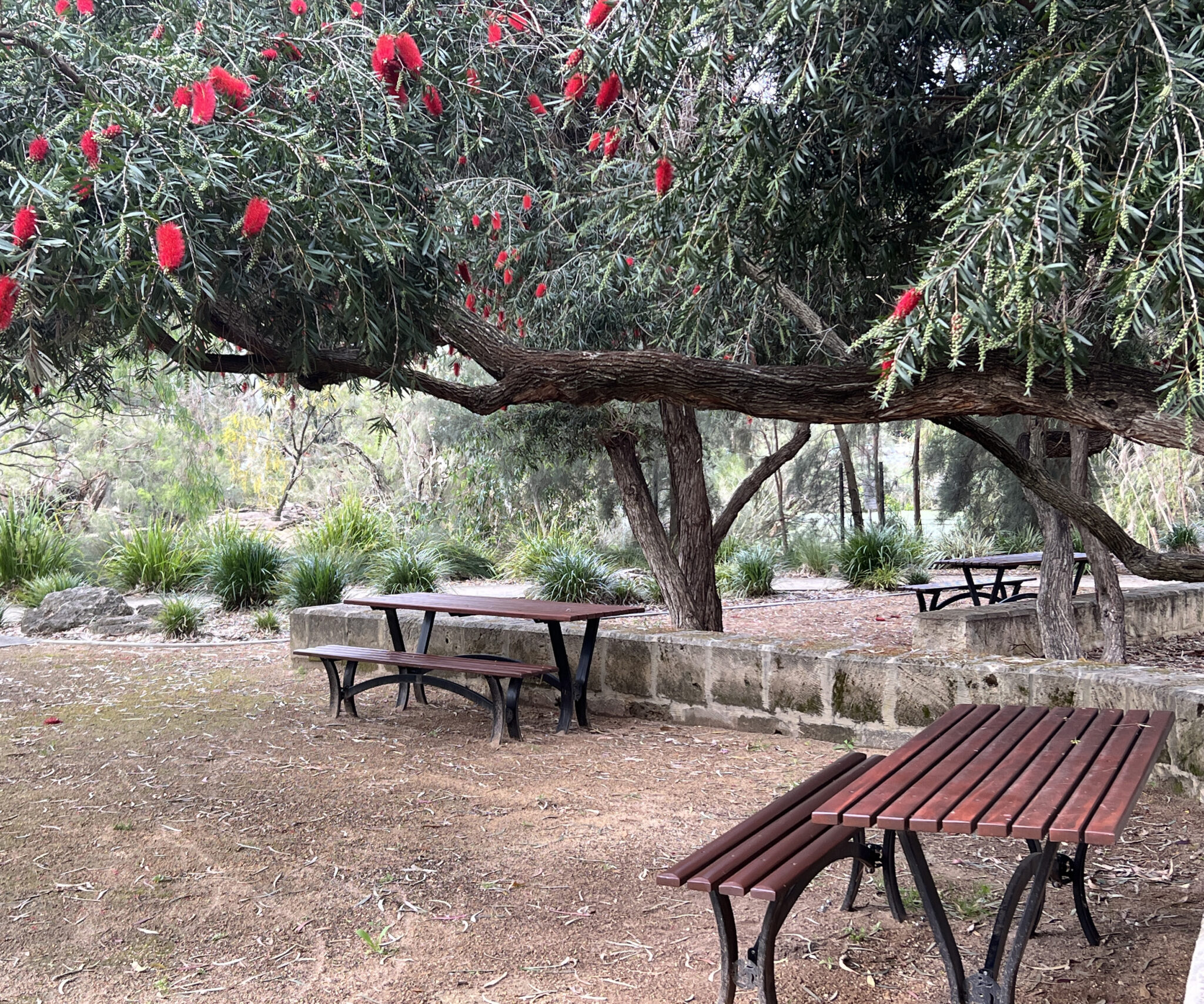 GO Edwards Park seating