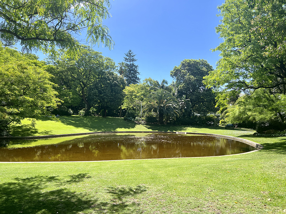 Harold Boas Gardens grass and lake