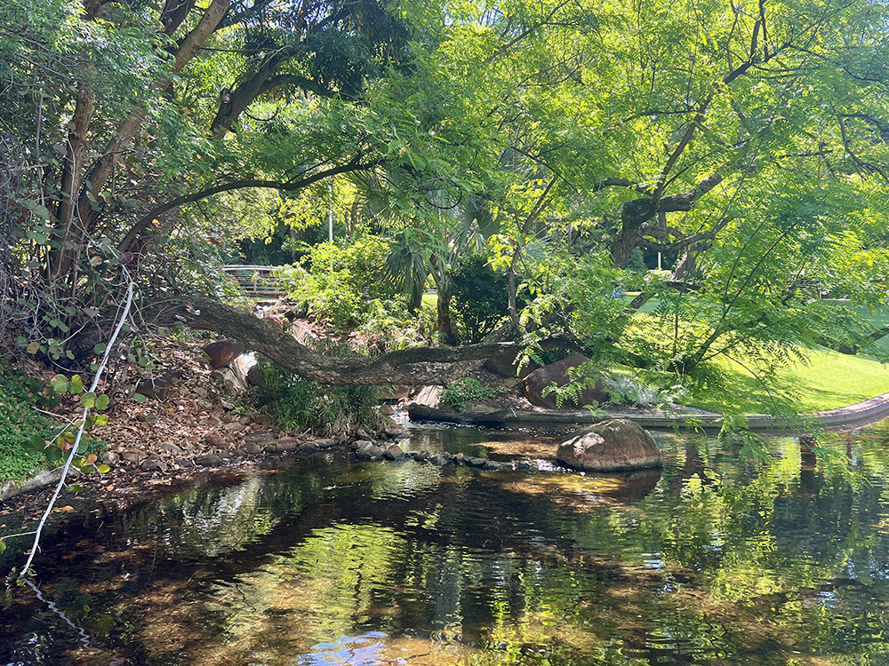 Harold Boas Gardens water feature
