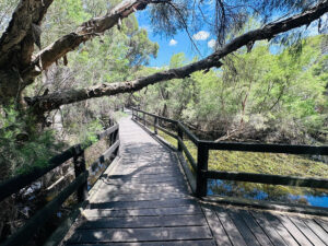 Herdsman Lake boardwalk