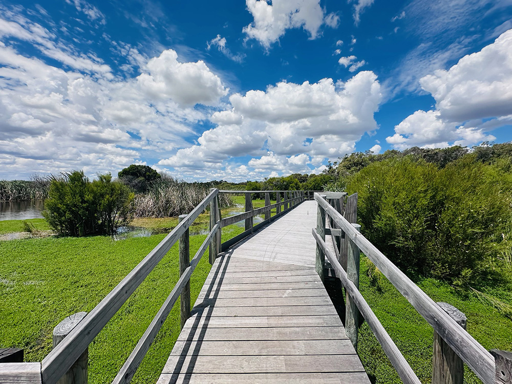 Herdsman Lake boardwalk trail