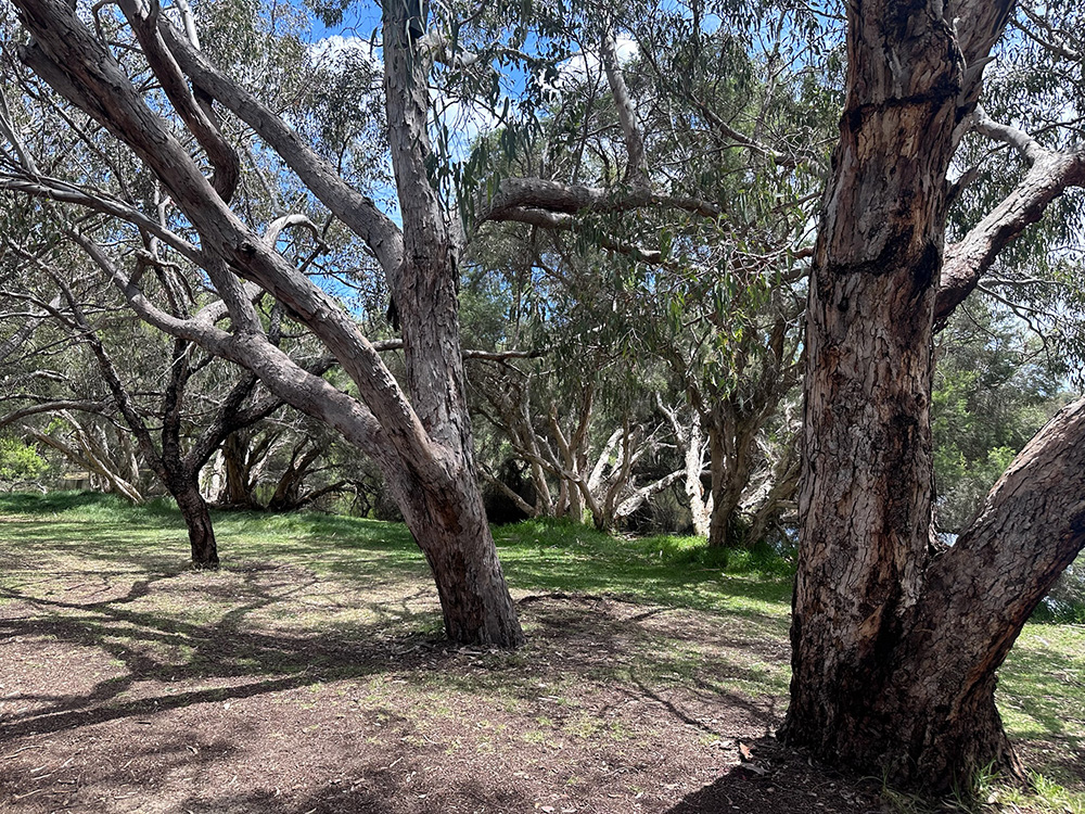 Herdsman Lake discovery centre