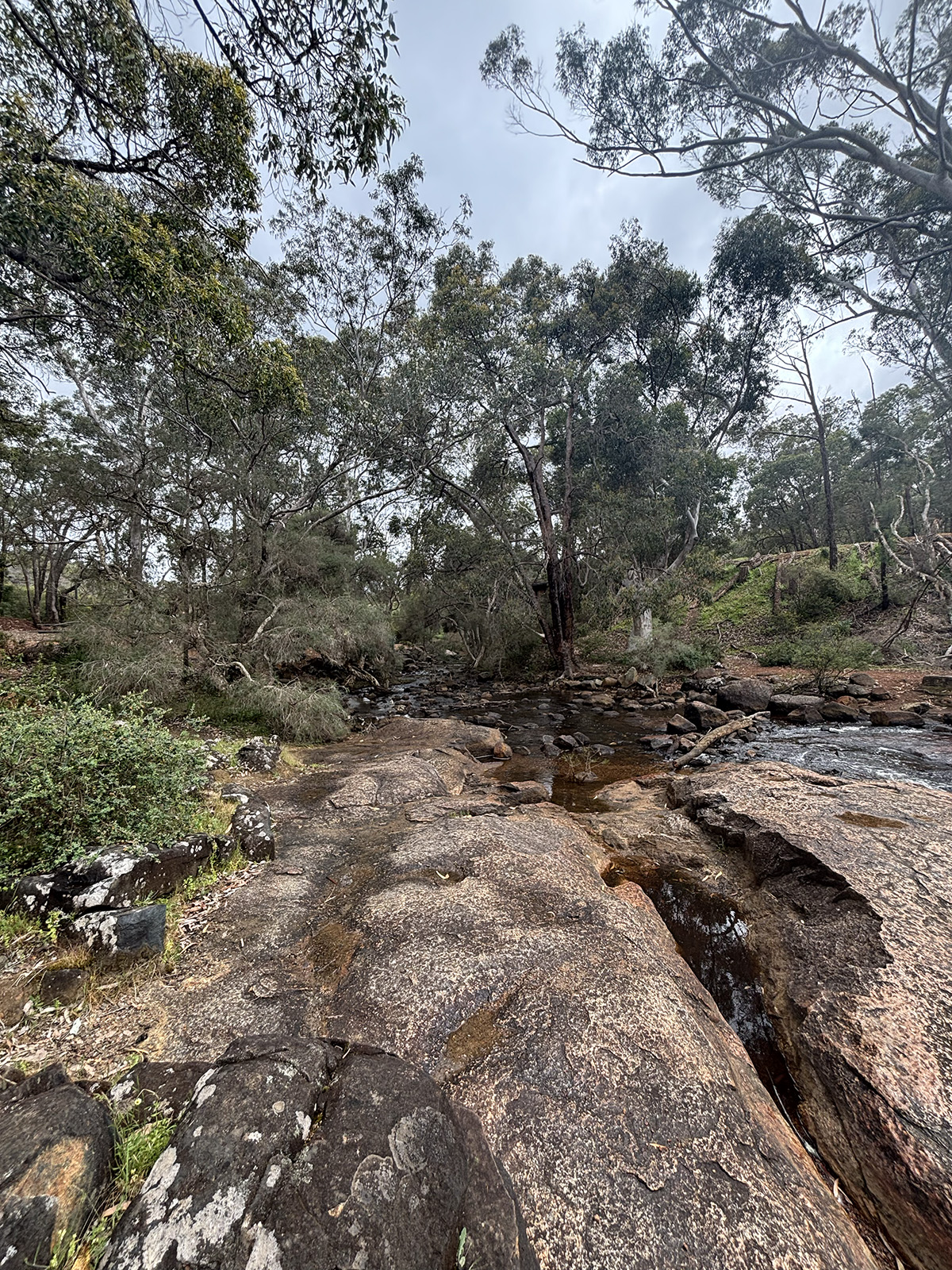 John Forrest National Park Kids Play
