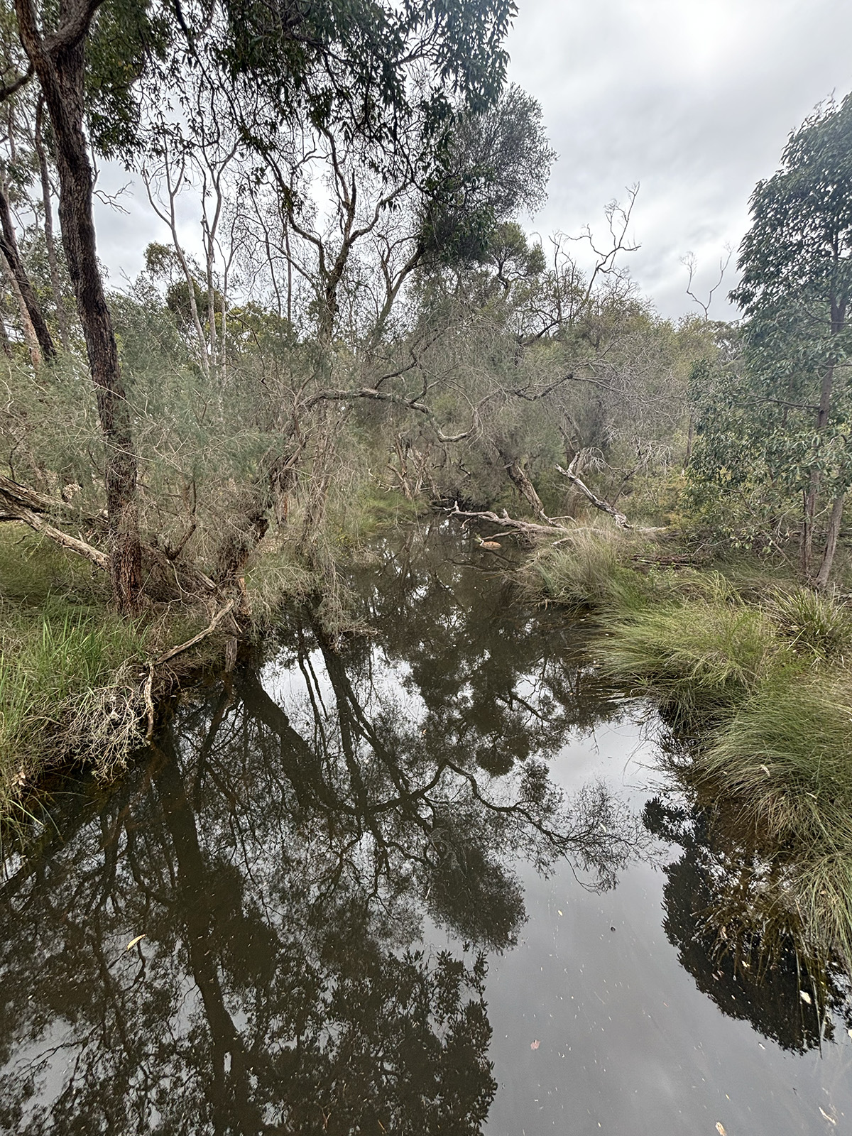 John Forrest National Park Nature Playground