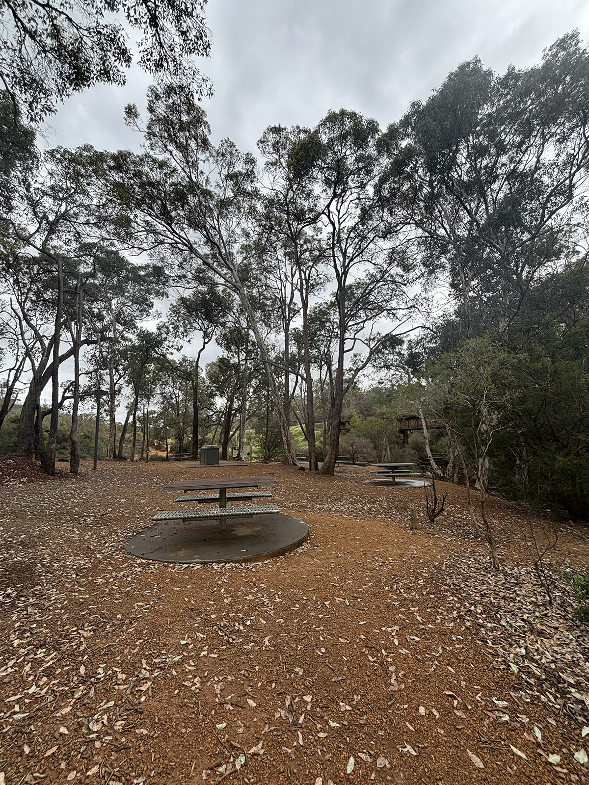 John Forrest National Park picnic table