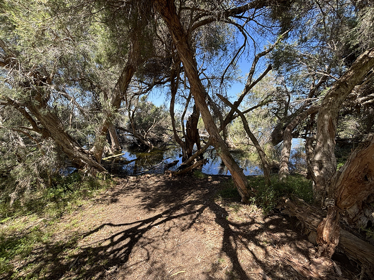 Neil Hawkins Park Perth walks for families