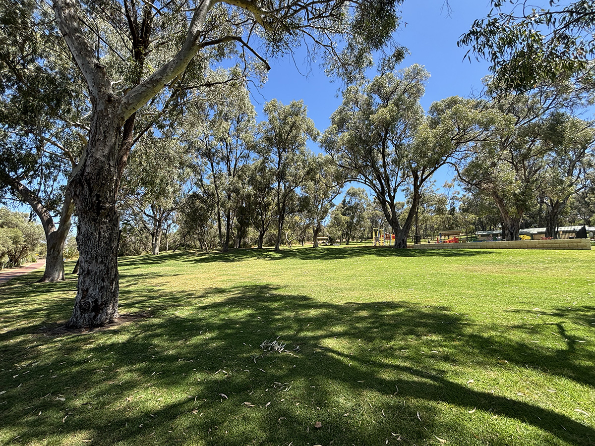 Neil Hawkins Park grassy hills