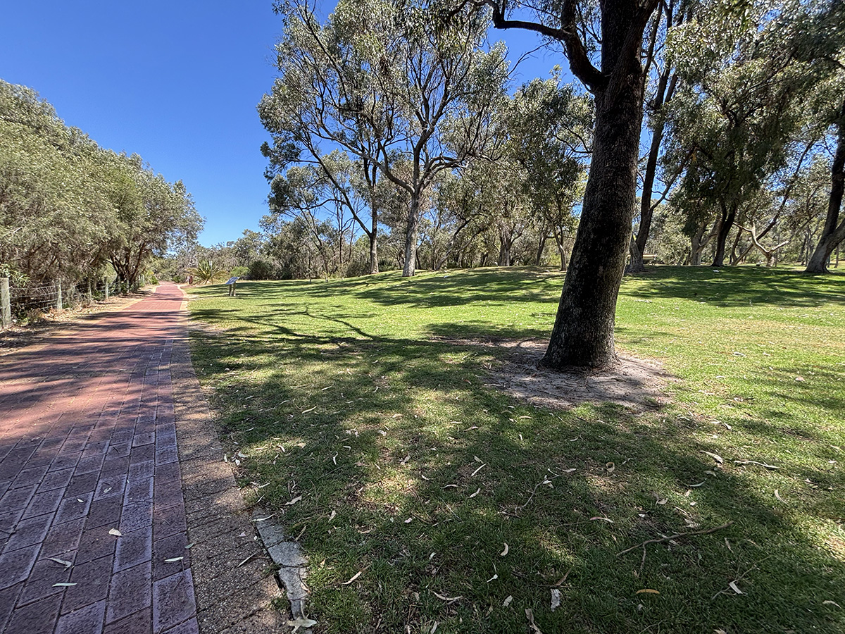 Neil Hawkins Park grassy knolls