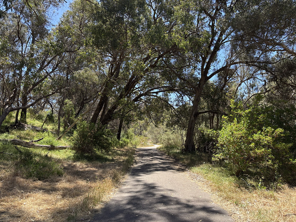 Neil Hawkins Park pathway