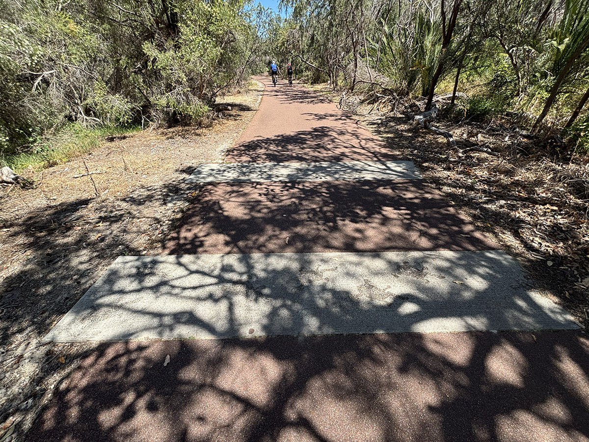 Neil Hawkins Park trails