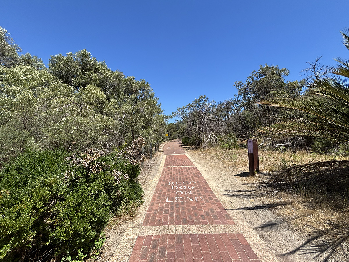Neil Hawkins Park walk trails